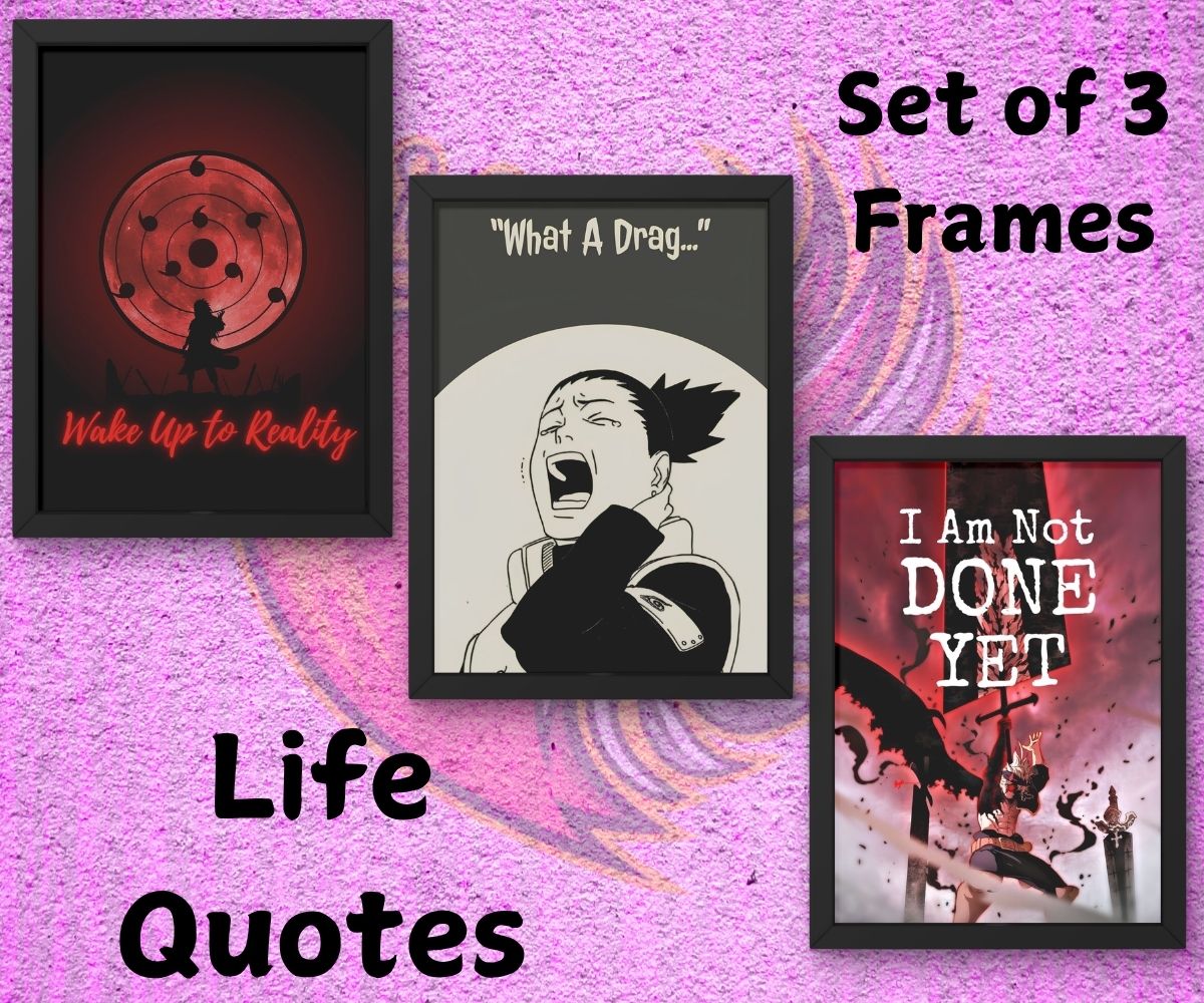 Life Quotes Frames