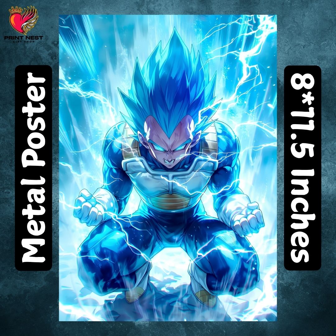 Dragon Ball Z 01 Metal Poster